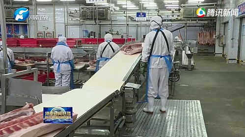 2020郑州机床展 河南食品企业有序复工 全力保障市场供应