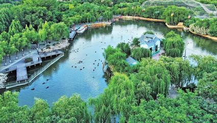 变化中的郑州市动物园:既有颜值又有文化