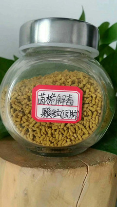郑州伊尹植物原料