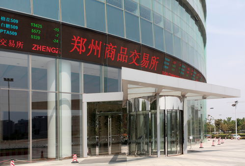 11项重点任务 河南发文支持郑州商品交易所优势再造